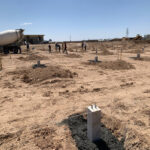 گلخانه شیروان