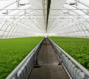 کشت طبقاتی: انقلابی در کشاورزی مدرن و پایدار