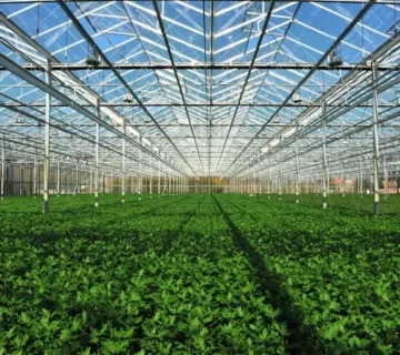 ۱۰ ویژگی مهم گلخانه شیشه‌ای استاندارد و پربازده