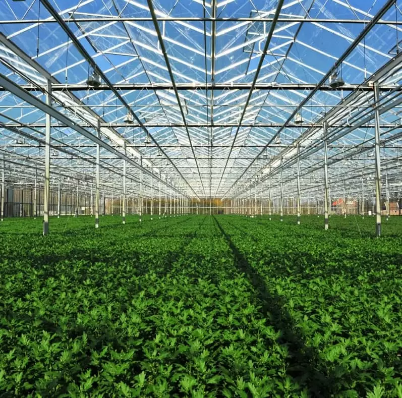 ۱۰ ویژگی مهم گلخانه شیشه‌ای استاندارد و پربازده