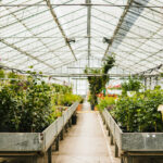 ساخت گلخانه شیشه‌ای