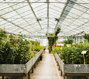 ساخت گلخانه شیشه‌ای